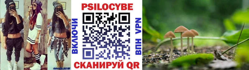Купить  Рошаль  Галлюциногенные грибы Cubensis 
